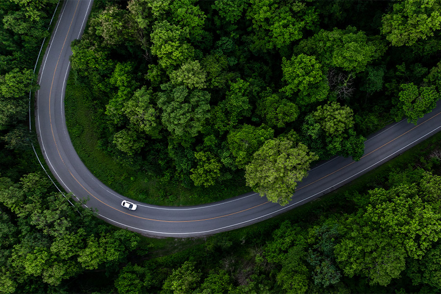Environment
